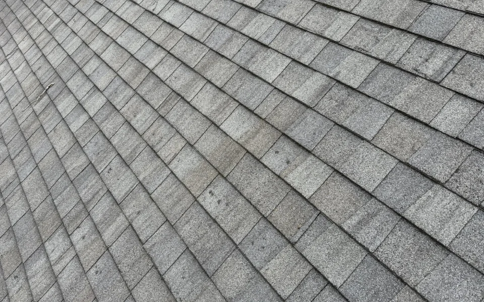 old grayish brown roof